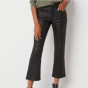 NWOT Frye & Co. Faux suede Gloss boot cut regular fit black pants sz 6